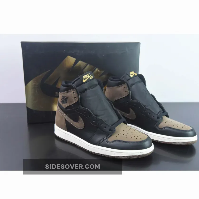 Jordan 1 Palomino 2023 Air Jordan 1 High OG Palomino DZ5485-020