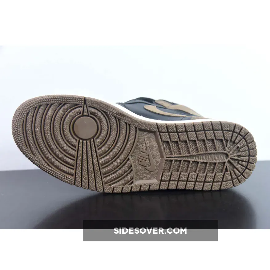 Jordan 1 Palomino 2023 Air Jordan 1 High OG Palomino DZ5485-020